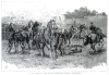 A “Victoria Cross Race” at the Royal Artillery Sports, Aldershot, 1885. Illustration from “The Graphic”, 10 October 1885